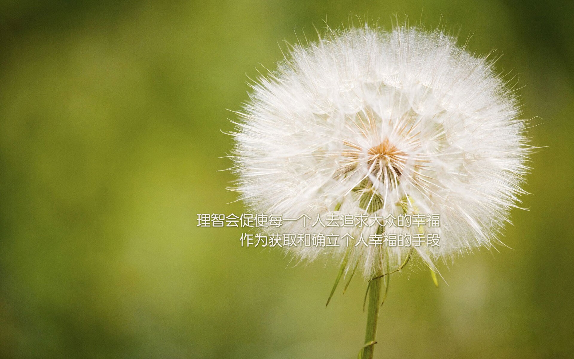 中国高校篮球联赛全面升级，吸引众多年轻人，中国高校校友篮球联赛