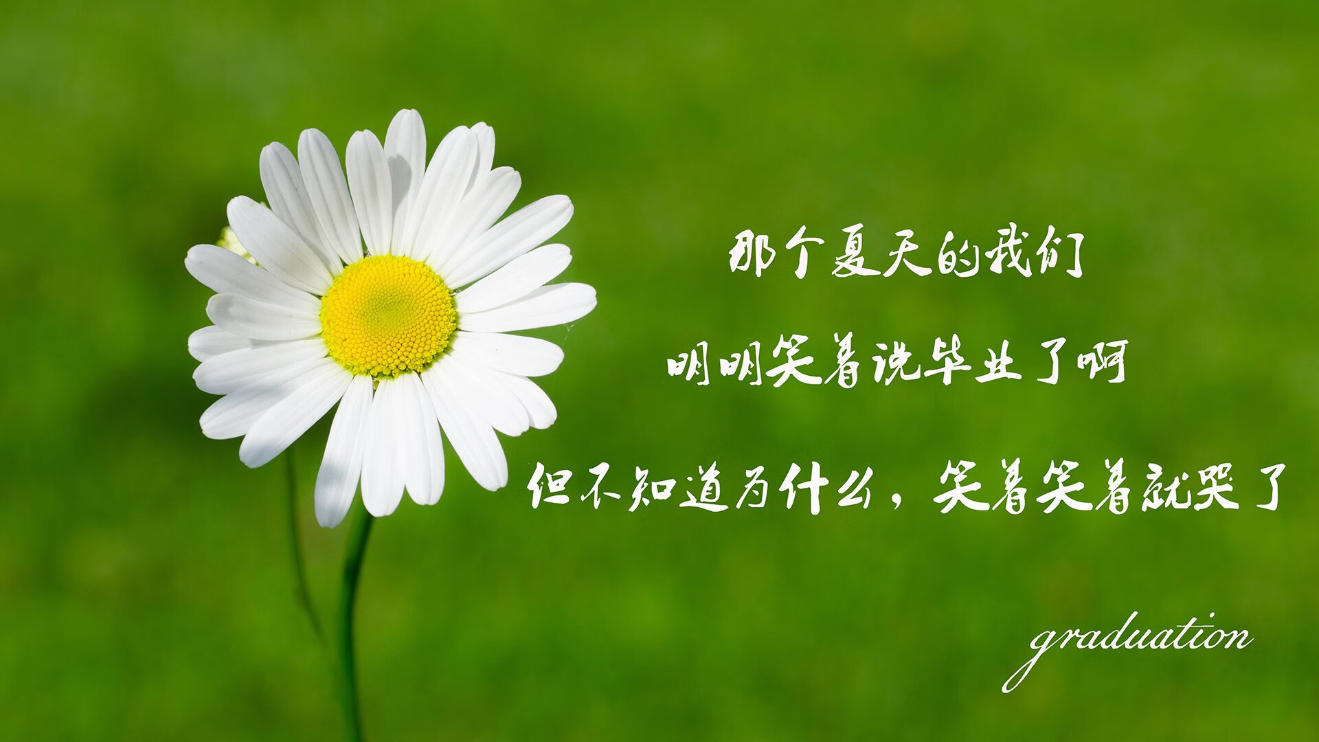 逆风而飞：那些用无限信念改变命运的战队，逆风而行更适合飞翔
