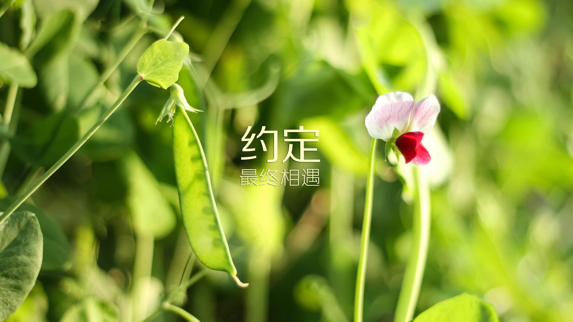 开云官网首页-浙江稠州获得比赛胜利，队员状态神勇，浙江稠州比赛直播