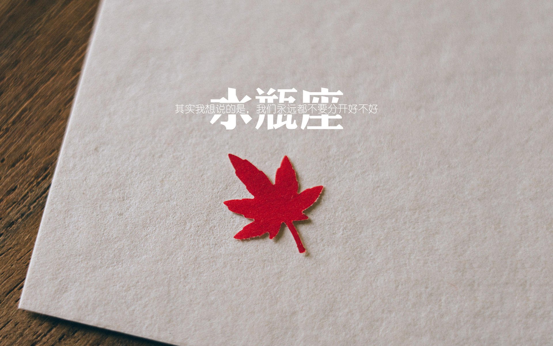 青年运动员成长轨迹清晰，中国青年运动员及成就