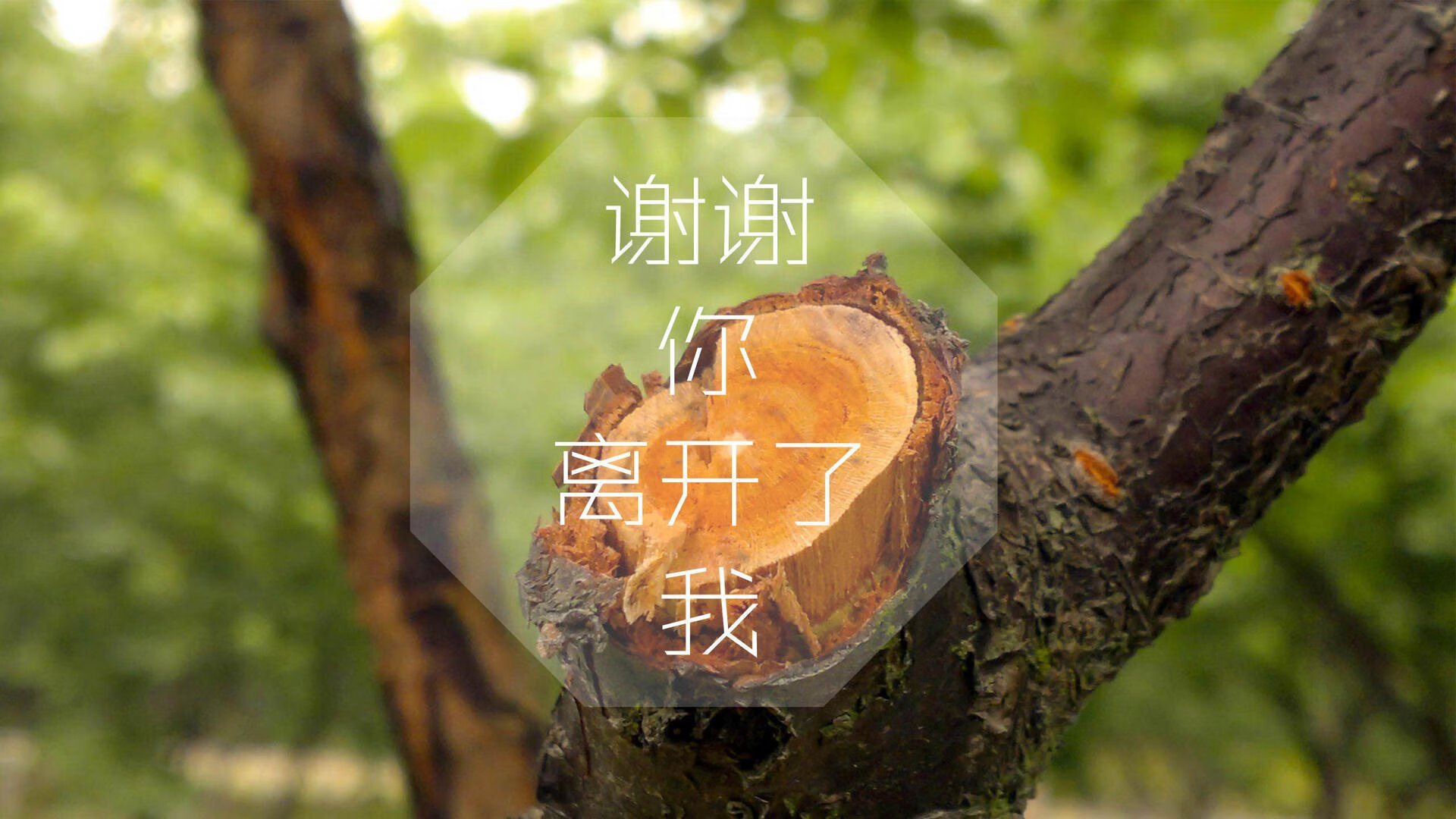 开云kaiyun-霍勒迪表示团队默契牵动比赛走势，霍勒迪十佳球