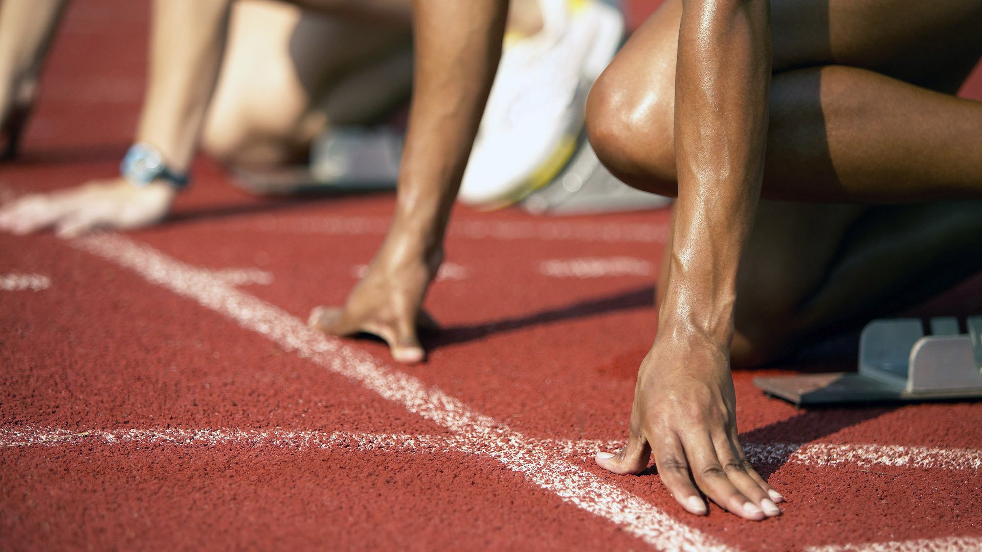 西班牙成功举办国际马术科技论坛，汇聚全球专家探讨马术未来发展。